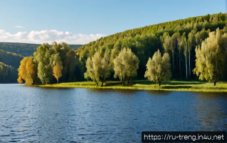 Международные правила для торгового английского: что учить для экзамена и работы во ВЭД 4 무역영어 자격증과 관련된 국제 규정 이해 관련 이미지 2